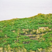 Faroe Islands - Walk towards Eiði