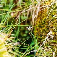 Faroe Islands - Walk towards Eiði