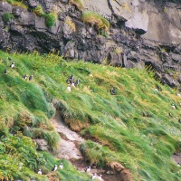 Faroe Islands - Gjógv