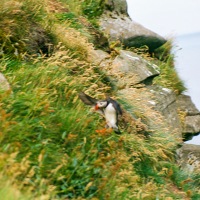 Faroe Islands - Eiði