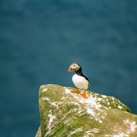 Faroe Islands - Eiði