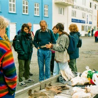 Faroe Islands - Tórshavn