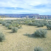 The Grand Canyon Rim