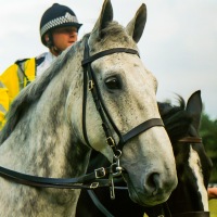 Ascot