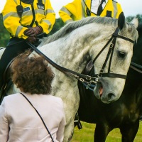 Ascot