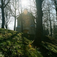 Snowdrops at Painswick