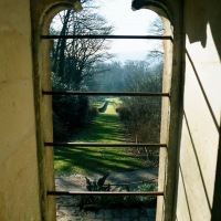 Snowdrops at Painswick