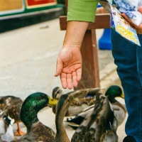 Canal Trip