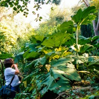 Portmeirion