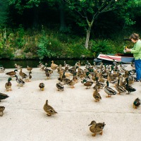 Canal Trip