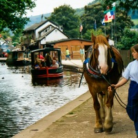 Canal Trip