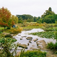 Cambridge Alumni Weekend