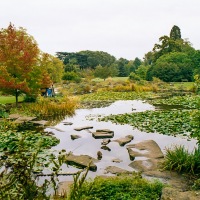 Cambridge Alumni Weekend