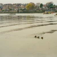 Cambridge Oxford Boat Race