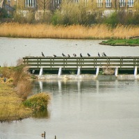 London Wetland Centre