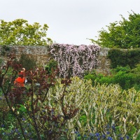 Cambridge Society - Sissinghurst