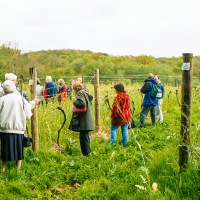 Cambridge Society - Sedlescombe Organic Winery