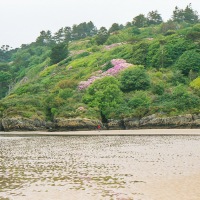 Portmeirion