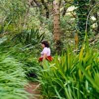 Portmeirion