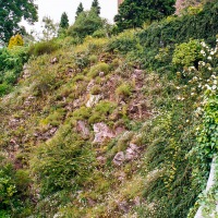 Powis Castle and Garden