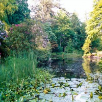 Portmeirion