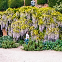 Powis Castle and Garden