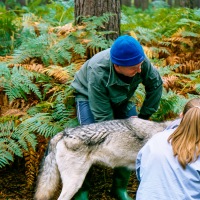 UK Wolf Conservation Trust