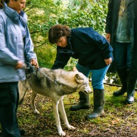 UK Wolf Conservation Trust