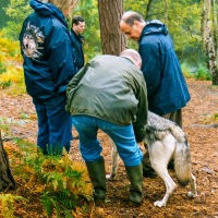 UK Wolf Conservation Trust