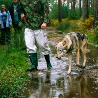 UK Wolf Conservation Trust