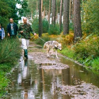 UK Wolf Conservation Trust