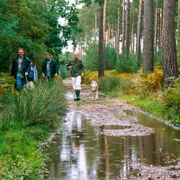 UK Wolf Conservation Trust