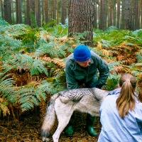 UK Wolf Conservation Trust