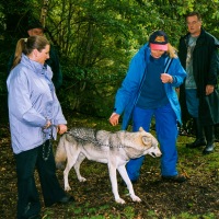 UK Wolf Conservation Trust