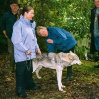 UK Wolf Conservation Trust