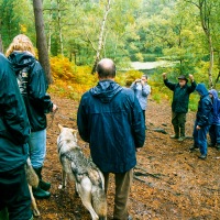 UK Wolf Conservation Trust