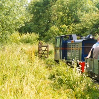 Open day at Wotton