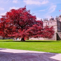 Cambridge Society in Derbyshire