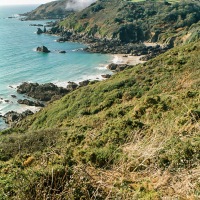 Guernsey