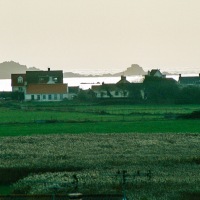 Guernsey