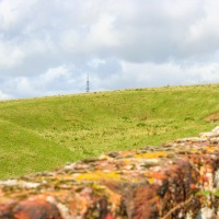 Buckinghamshire Geology Trip