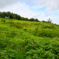 Buckinghamshire Geology Trip