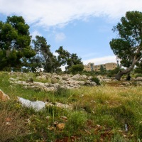 Jordan - Jerash