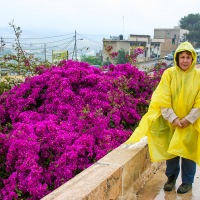 Jordan - Jerash