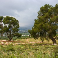 Jordan - Jerash