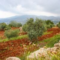 Jordan - Jerash