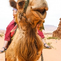 Jordan - Wadi Rum