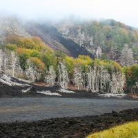 Recent Lava Flow