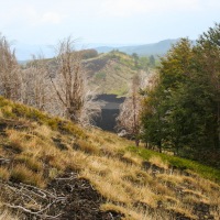 Recent Lava Flow