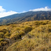 Recent Lava Flow